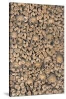 Portugal, Evora, St. Francis Church, Bone Chapel-Jim Engelbrecht-Stretched Canvas