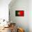 Portugal Flag Design with Wood Patterning - Flags of the World Series-Philippe Hugonnard-Framed Stretched Canvas displayed on a wall