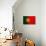 Portugal Flag Design with Wood Patterning - Flags of the World Series-Philippe Hugonnard-Premium Giclee Print displayed on a wall