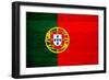 Portugal Flag Design with Wood Patterning - Flags of the World Series-Philippe Hugonnard-Framed Premium Giclee Print