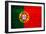 Portugal Flag Design with Wood Patterning - Flags of the World Series-Philippe Hugonnard-Framed Premium Giclee Print