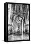 Portugal, Lisbon. Columns of the Arcade of Commerce Square with Reflections-Terry Eggers-Framed Stretched Canvas