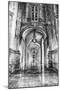 Portugal, Lisbon. Columns of the Arcade of Commerce Square with Reflections-Terry Eggers-Mounted Photographic Print