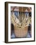 Portugal, Lisbon. Dried wheat stalks in the window of a bakery.-Julie Eggers-Framed Photographic Print