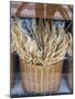 Portugal, Lisbon. Dried wheat stalks in the window of a bakery.-Julie Eggers-Mounted Photographic Print