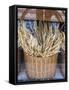 Portugal, Lisbon. Dried wheat stalks in the window of a bakery.-Julie Eggers-Framed Stretched Canvas