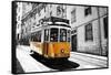 Portugal, Lisbon. Famous Old Lisbon Cable Car-Terry Eggers-Framed Stretched Canvas