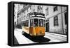 Portugal, Lisbon. Famous Old Lisbon Cable Car-Terry Eggers-Framed Stretched Canvas