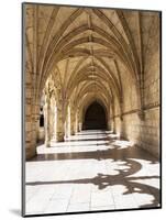 Portugal, Lisbon. Interior view in the Jeronimos Monastery, a UNESCO World Heritage Site.-Julie Eggers-Mounted Photographic Print