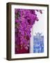 Portugal, Lisbon. Pink flowers of Bougainvillea plant and historical building-Julie Eggers-Framed Photographic Print