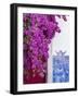 Portugal, Lisbon. Pink flowers of Bougainvillea plant and historical building-Julie Eggers-Framed Photographic Print