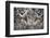 Portugal, Lisbon Region, Sintra, Pena National Palace, Gargoyle-Samuel Magal-Framed Photographic Print