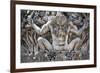 Portugal, Lisbon Region, Sintra, Pena National Palace, Gargoyle-Samuel Magal-Framed Photographic Print