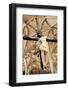 Portugal, Lisbon, Santa Maria de Belem, Hieronymite Monastery, Jesus On the Cross-Samuel Magal-Framed Photographic Print