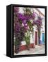 Portugal, Obidos. Beautiful bougainvillea blooming in the town of Obidos, Portugal.-Julie Eggers-Framed Stretched Canvas