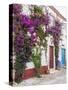 Portugal, Obidos. Beautiful bougainvillea blooming in the town of Obidos, Portugal.-Julie Eggers-Stretched Canvas