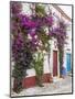 Portugal, Obidos. Beautiful bougainvillea blooming in the town of Obidos, Portugal.-Julie Eggers-Mounted Photographic Print