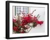 Portugal, Obidos. Beautiful red bougainvillea blooming against a white stone wall.-Julie Eggers-Framed Photographic Print