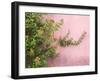 Portugal, Obidos. Colorful lantana vine growing against a pink wall.-Julie Eggers-Framed Photographic Print