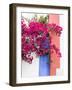 Portugal, Obidos. Dark pink bougainvillea vine against a blue, orange and white striped wall.-Julie Eggers-Framed Photographic Print