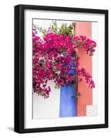 Portugal, Obidos. Dark pink bougainvillea vine against a blue, orange and white striped wall.-Julie Eggers-Framed Photographic Print