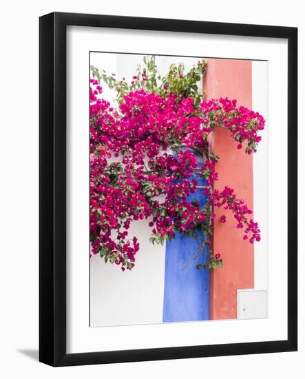 Portugal, Obidos. Dark pink bougainvillea vine against a blue, orange and white striped wall.-Julie Eggers-Framed Photographic Print