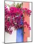 Portugal, Obidos. Dark pink bougainvillea vine against a blue, orange and white striped wall.-Julie Eggers-Mounted Photographic Print