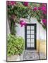 Portugal, Obidos. Doorway surrounded by a bougainvillea vine.-Julie Eggers-Mounted Photographic Print