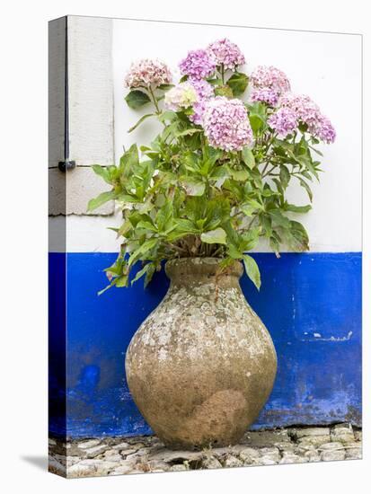 Portugal, Obidos. Pink hydrangea in an old pottery against a white and blue wall-Julie Eggers-Stretched Canvas