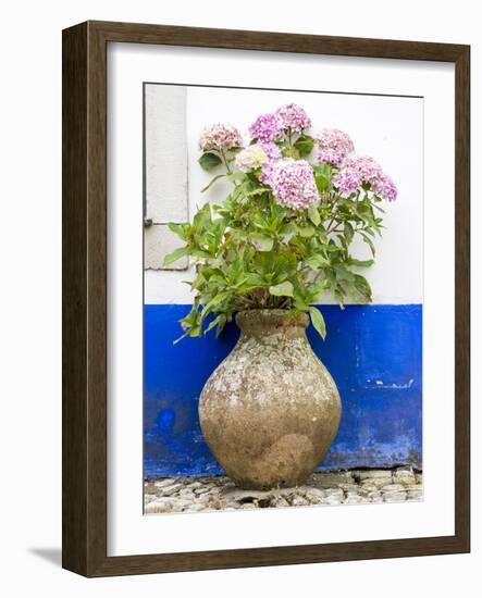 Portugal, Obidos. Pink hydrangea in an old pottery against a white and blue wall-Julie Eggers-Framed Photographic Print