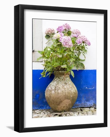 Portugal, Obidos. Pink hydrangea in an old pottery against a white and blue wall-Julie Eggers-Framed Photographic Print