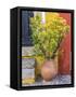 Portugal, Obidos. Potted plant in front of colorful entrance to a home in the hill town of Obidos.-Julie Eggers-Framed Stretched Canvas