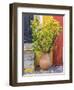 Portugal, Obidos. Potted plant in front of colorful entrance to a home in the hill town of Obidos.-Julie Eggers-Framed Photographic Print