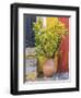 Portugal, Obidos. Potted plant in front of colorful entrance to a home in the hill town of Obidos.-Julie Eggers-Framed Photographic Print