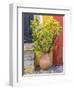 Portugal, Obidos. Potted plant in front of colorful entrance to a home in the hill town of Obidos.-Julie Eggers-Framed Photographic Print