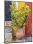 Portugal, Obidos. Potted plant in front of colorful entrance to a home in the hill town of Obidos.-Julie Eggers-Mounted Photographic Print