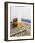 Portugal, Obidos. Red geranium growing in a terra cotta pot next to the entrance of a home-Julie Eggers-Framed Photographic Print