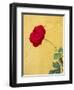 Portugal, Obidos. red rose growing against a bright yellow painted home.-Julie Eggers-Framed Photographic Print