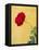 Portugal, Obidos. red rose growing against a bright yellow painted home.-Julie Eggers-Framed Stretched Canvas