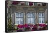 Portugal, Ponte De Lima, Old Town, House Facade, Balconies, Balcony Flowers-Chris Seba-Framed Stretched Canvas