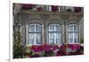 Portugal, Ponte De Lima, Old Town, House Facade, Balconies, Balcony Flowers-Chris Seba-Framed Premium Photographic Print