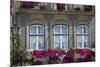 Portugal, Ponte De Lima, Old Town, House Facade, Balconies, Balcony Flowers-Chris Seba-Mounted Premium Photographic Print
