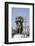 Portugal, Porto, Avenida dos Aliados, The Boys- Abundance Statue-Samuel Magal-Framed Photographic Print