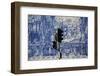 Portugal, Porto, Capela Das Almas, Ceramic Tiles (Azulejo), Detail, The Martyrdom of St. Catherine-Samuel Magal-Framed Photographic Print