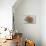 Portugal, Porto, Shrimp with Garlic and Butter-Jim Engelbrecht-Stretched Canvas displayed on a wall
