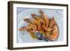 Portugal, Porto, Shrimp with Garlic and Butter-Jim Engelbrecht-Framed Photographic Print