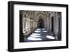 Portugal, Porto, The Church of Saint IIdefonso, Fan Vaulted Cloister with Ceramic Tiles (Azulejo)-Samuel Magal-Framed Photographic Print