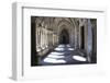 Portugal, Porto, The Church of Saint IIdefonso, Fan Vaulted Cloister with Ceramic Tiles (Azulejo)-Samuel Magal-Framed Photographic Print