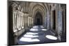 Portugal, Porto, The Church of Saint IIdefonso, Fan Vaulted Cloister with Ceramic Tiles (Azulejo)-Samuel Magal-Mounted Photographic Print