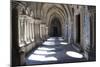 Portugal, Porto, The Church of Saint IIdefonso, Fan Vaulted Cloister with Ceramic Tiles (Azulejo)-Samuel Magal-Mounted Photographic Print